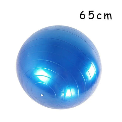 65cm Blue Stability Exercise Balls