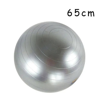 65cm Gray Stability Exercise Balls