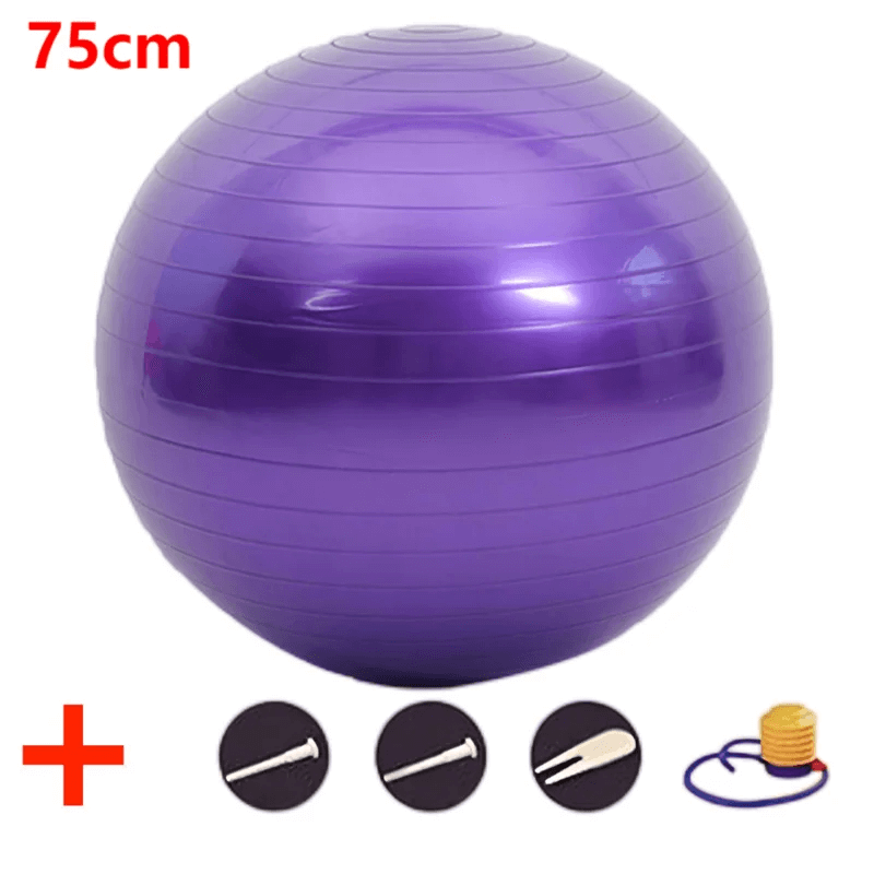 75cm Purple Exercise Balls