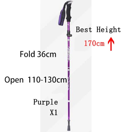 Portable Hiking Stick