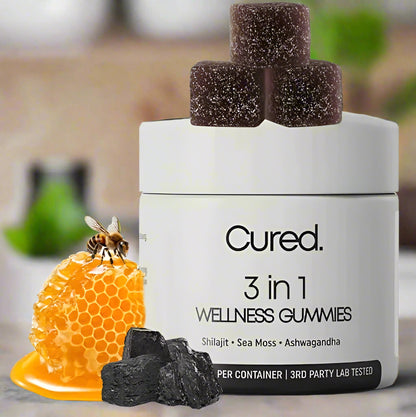 Premium Shilajit Gummies vitality