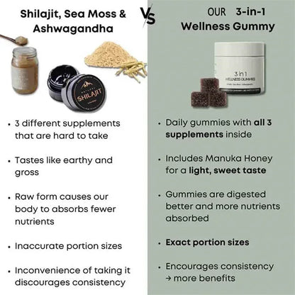 Premium Shilajit Gummies