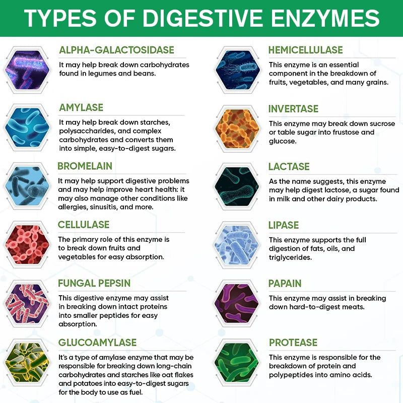 All Natural Digestive Enzyme